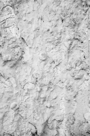 Background of the concrete wallの写真素材