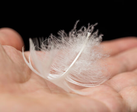 white feather in a hand on a black background. macroの写真素材