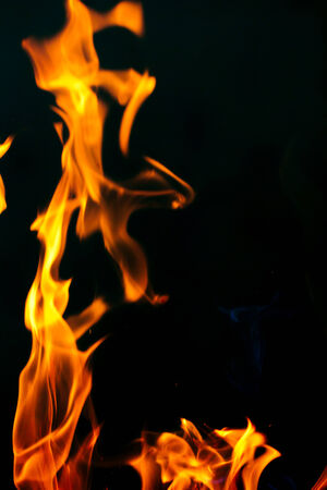 Fire flames on a black backgroundの写真素材