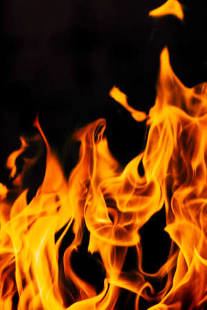 Fire flames on a black backgroundの写真素材