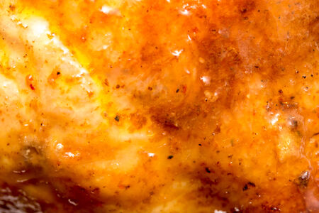 grilled chicken. Macroの写真素材