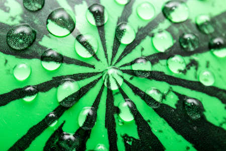 drops of water. Macroの写真素材