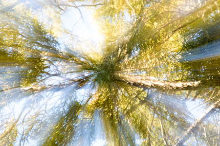 beautiful background blur on the nature ofの写真素材