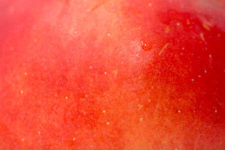background of a red apple. macroの写真素材