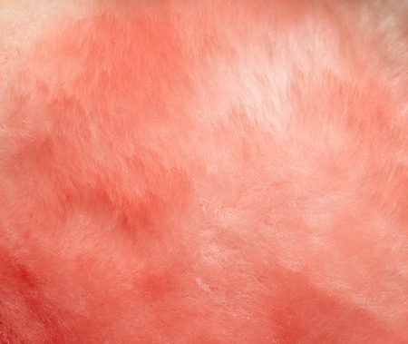 background of furの写真素材