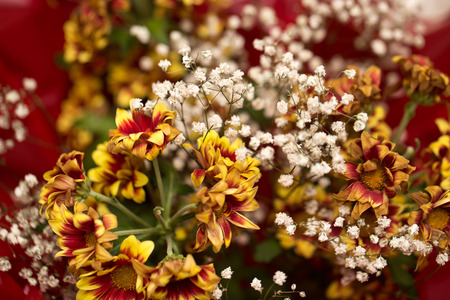 background of beautiful flowersの写真素材