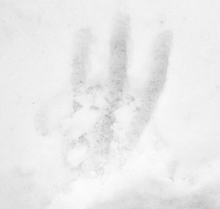 spoor in the snowの写真素材