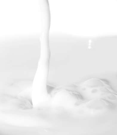 beautiful background of white milkの写真素材