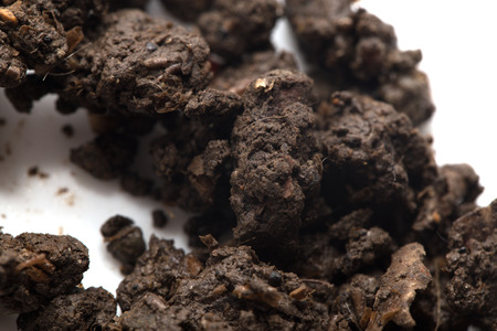 soil on a white backgroundの写真素材