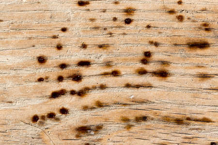 old wooden background