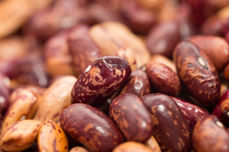 beans as background. macroの写真素材