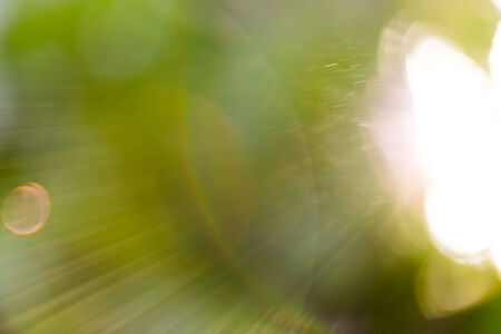 beautiful bokeh with sun raysの写真素材