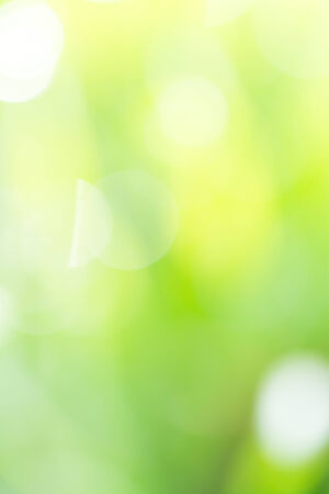 beautiful bokeh natureの写真素材