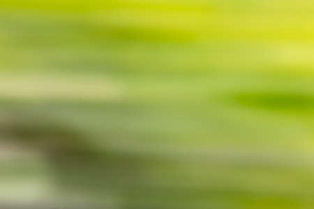 beautiful bokeh in nature in motionの写真素材