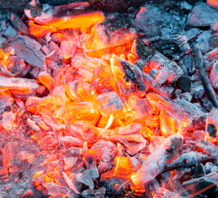 Campfire with burning firewood on foreground closeupの写真素材