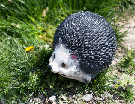 artificial hedgehog natureの写真素材