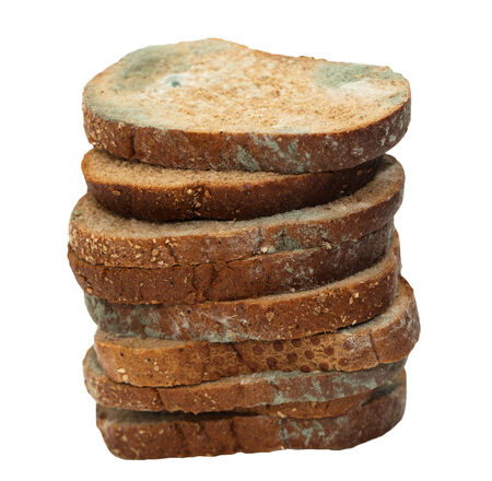 Moldy bread. Isolated on white backgroundの写真素材