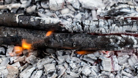 Campfire with burning firewood on foreground closeupの写真素材