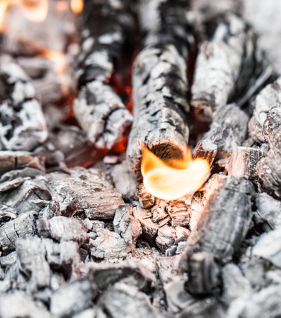 Campfire with burning firewood on foreground closeupの写真素材