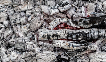 Campfire with burning firewood on foreground closeup