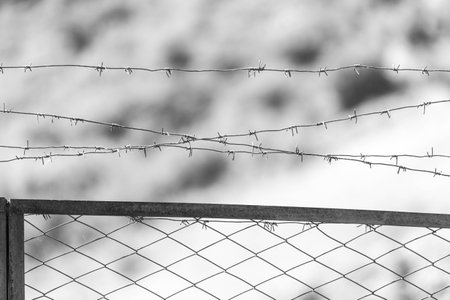 barbed wire fenceの写真素材