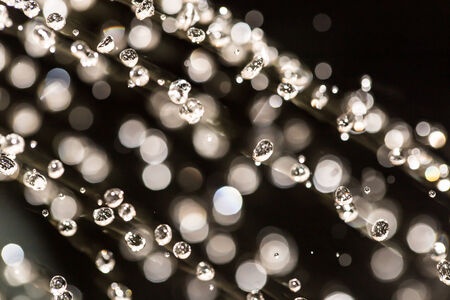 drops of water on black background