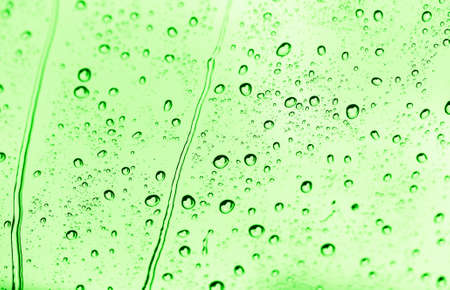 water drops on green glassの写真素材