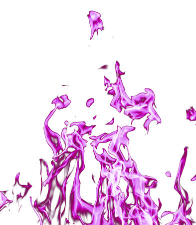 violet flame fire on a white backgroundの写真素材