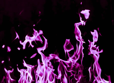 violet flame fire on black backgroundの写真素材