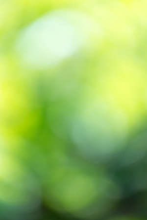 abstract bokeh background of natureの写真素材
