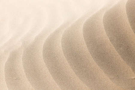 beautiful background of sand in the desert