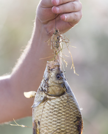 fish on a hook