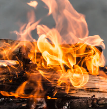 fire woodの写真素材