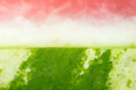 watermelon. close-up