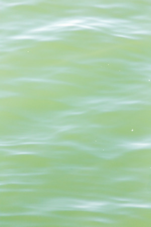 beautiful background of the water surface