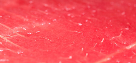 watermelon. close-upの写真素材