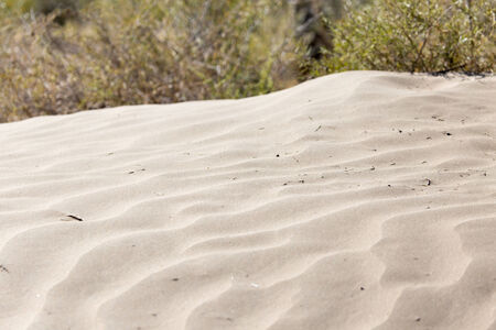 beautiful background of sand in the desertの写真素材