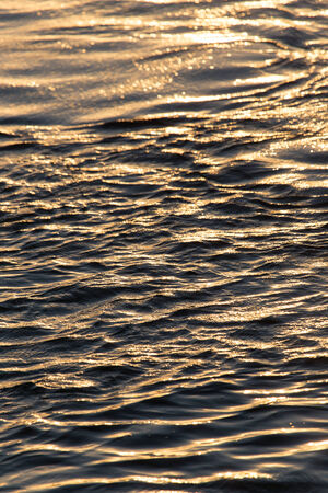 Background of the water surface at sunsetの写真素材