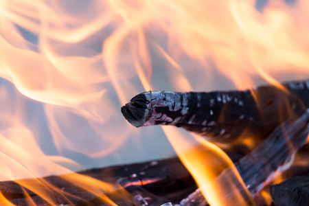 fire from burning firewoodの写真素材