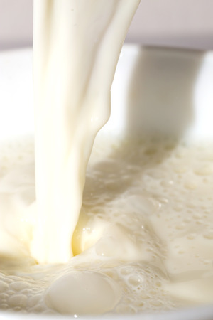 Background of milkの写真素材