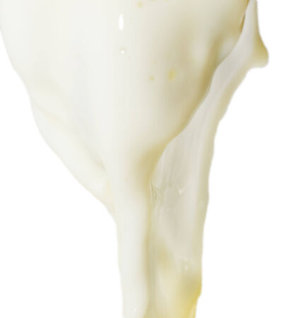 Milk Splashの写真素材