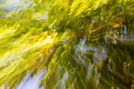 Nature in Motionの写真素材