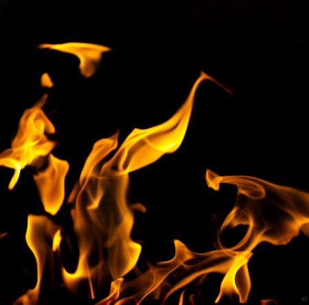 flame fire on black backgroundの写真素材