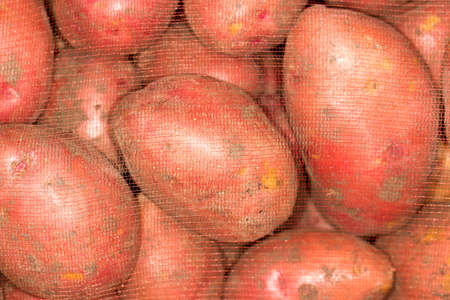 potatoes in the bagの写真素材