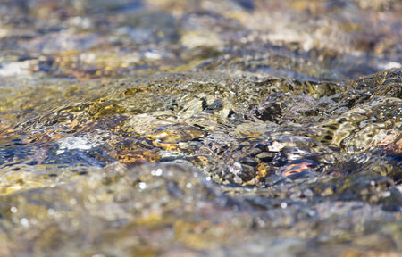 Stones in water Nature
