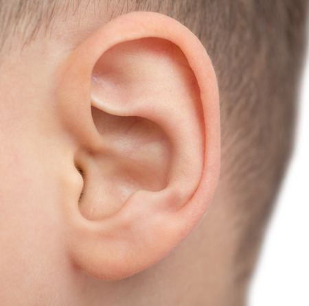 close up of male ear close up of male ear