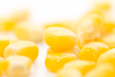 corn on a white background. close-up