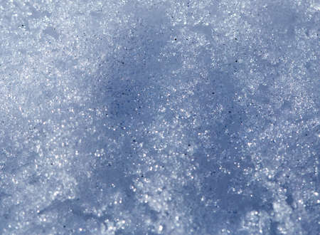 snowflakes as background. close-up