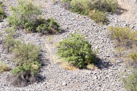 slopes of the mountains in Kazakhstanの写真素材
