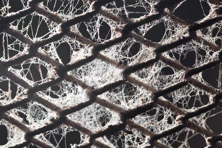 abstract background of old metal fenceの写真素材